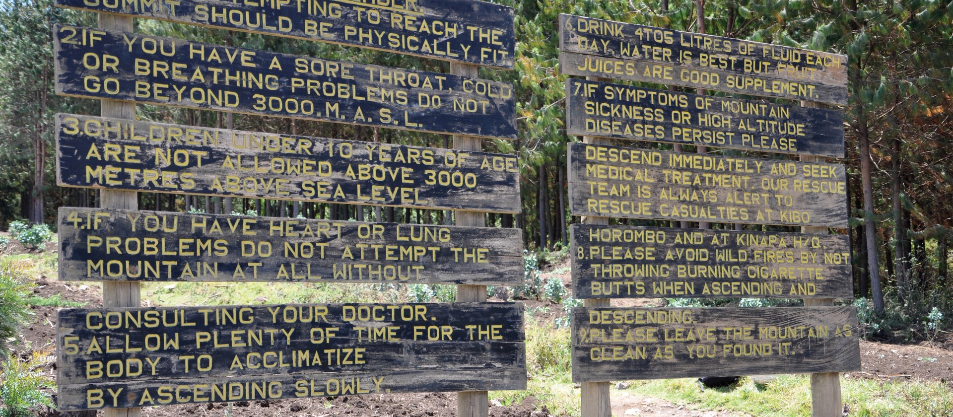 Kilimanjaro School Adventure Student Kilimanjaro Climbs - 