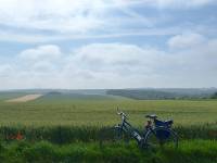 Bike resting in the Flanders Fields |  <i>Richard Tulloch</i>