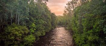 The Pristine Tasmanian Wilderness World Heritage Area. | Glenn Walker